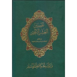 تفسير العشر الأخير